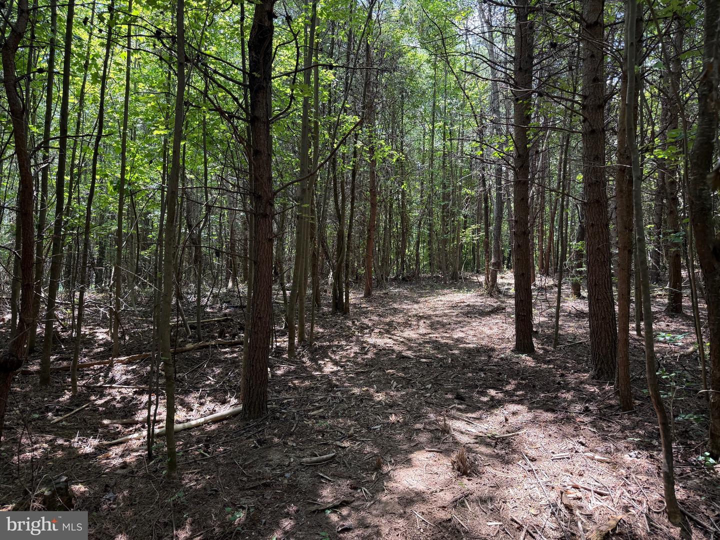TBD LANCER LN, MARTINSVILLE, Virginia 24112, ,Land,For sale,TBD LANCER LN,VAHE2000028 MLS # VAHE2000028