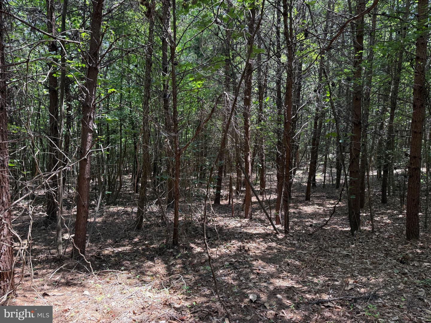 TBD LANCER LN, MARTINSVILLE, Virginia 24112, ,Land,For sale,TBD LANCER LN,VAHE2000028 MLS # VAHE2000028