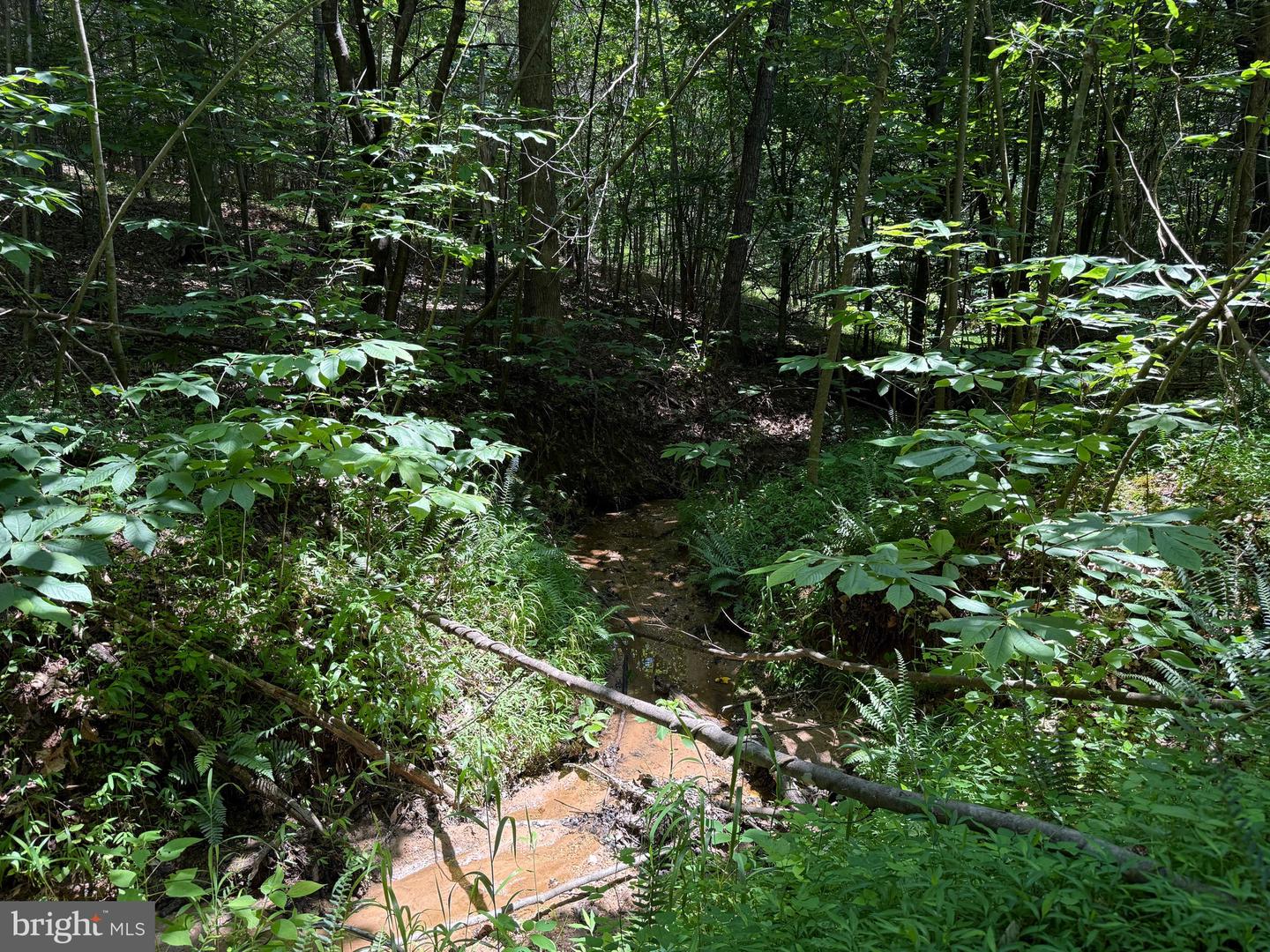 TBD LANCER LN, MARTINSVILLE, Virginia 24112, ,Land,For sale,TBD LANCER LN,VAHE2000028 MLS # VAHE2000028