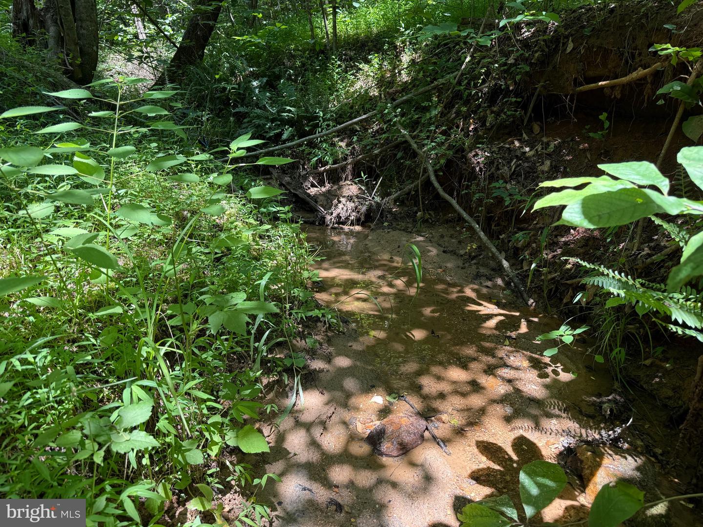 TBD LANCER LN, MARTINSVILLE, Virginia 24112, ,Land,For sale,TBD LANCER LN,VAHE2000028 MLS # VAHE2000028
