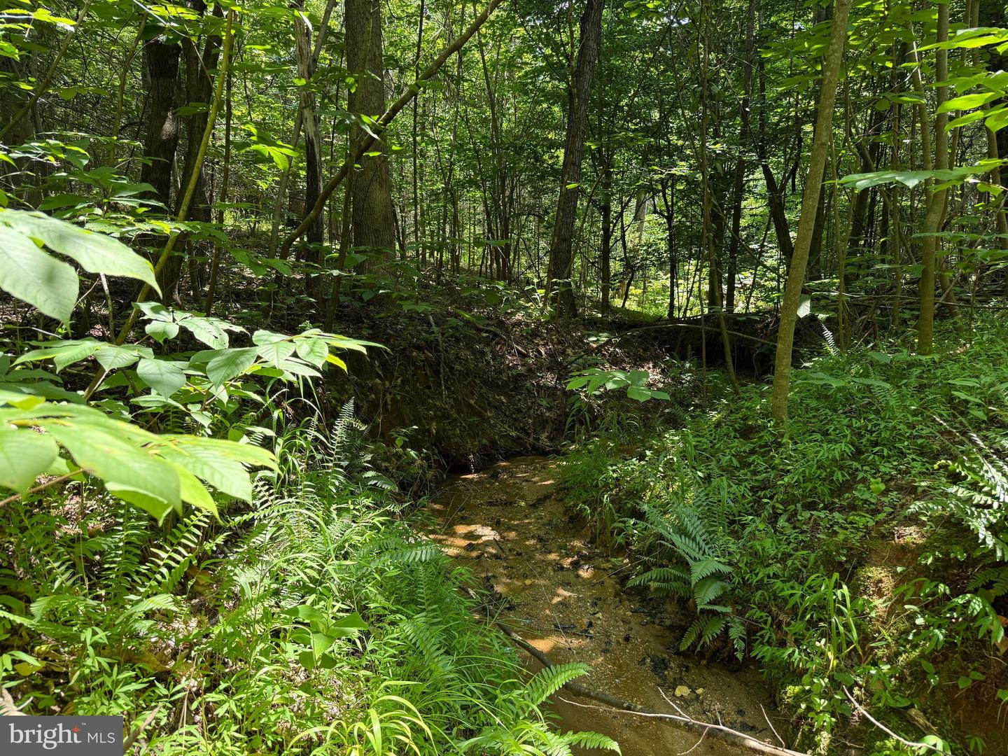 TBD LANCER LN, MARTINSVILLE, Virginia 24112, ,Land,For sale,TBD LANCER LN,VAHE2000028 MLS # VAHE2000028
