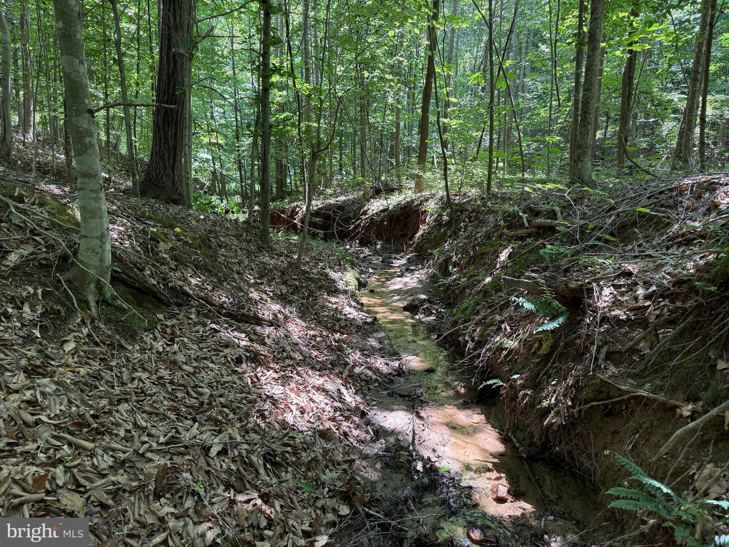 TBD LANCER LN, MARTINSVILLE, Virginia 24112, ,Land,For sale,TBD LANCER LN,VAHE2000028 MLS # VAHE2000028