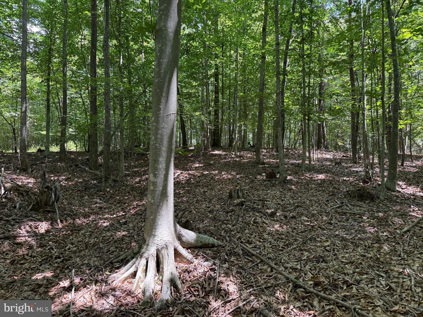 TBD LANCER LN, MARTINSVILLE, Virginia 24112, ,Land,For sale,TBD LANCER LN,VAHE2000028 MLS # VAHE2000028