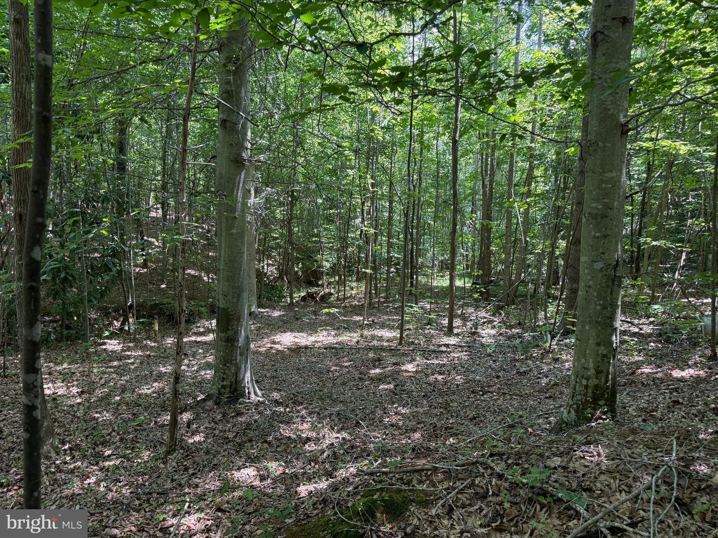 TBD LANCER LN, MARTINSVILLE, Virginia 24112, ,Land,For sale,TBD LANCER LN,VAHE2000028 MLS # VAHE2000028