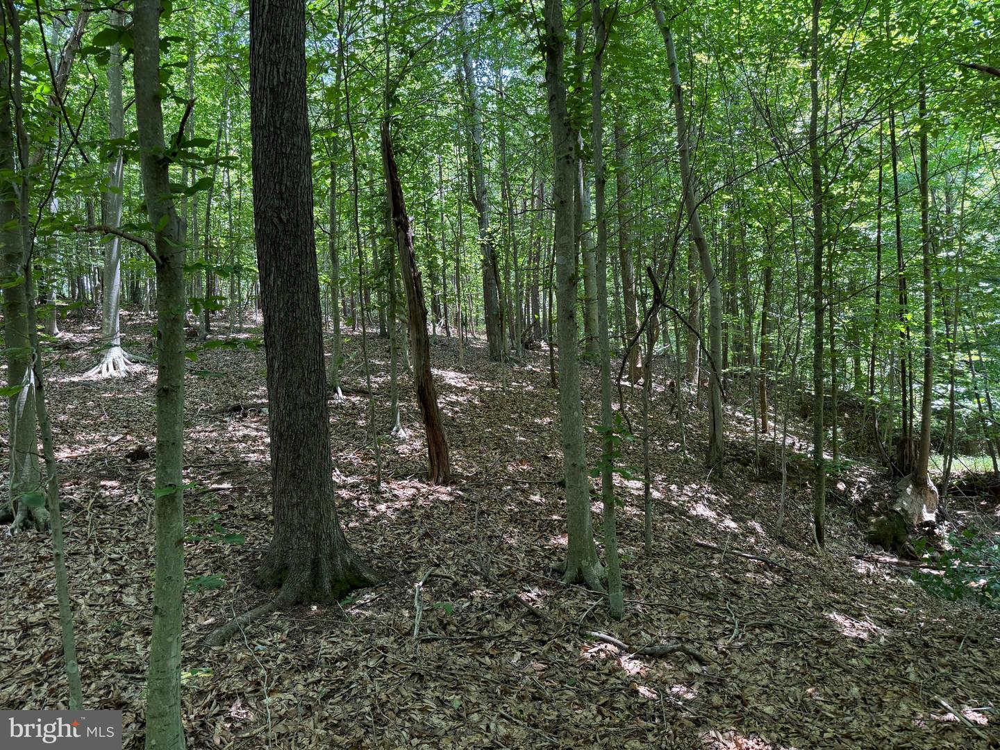 TBD LANCER LN, MARTINSVILLE, Virginia 24112, ,Land,For sale,TBD LANCER LN,VAHE2000028 MLS # VAHE2000028