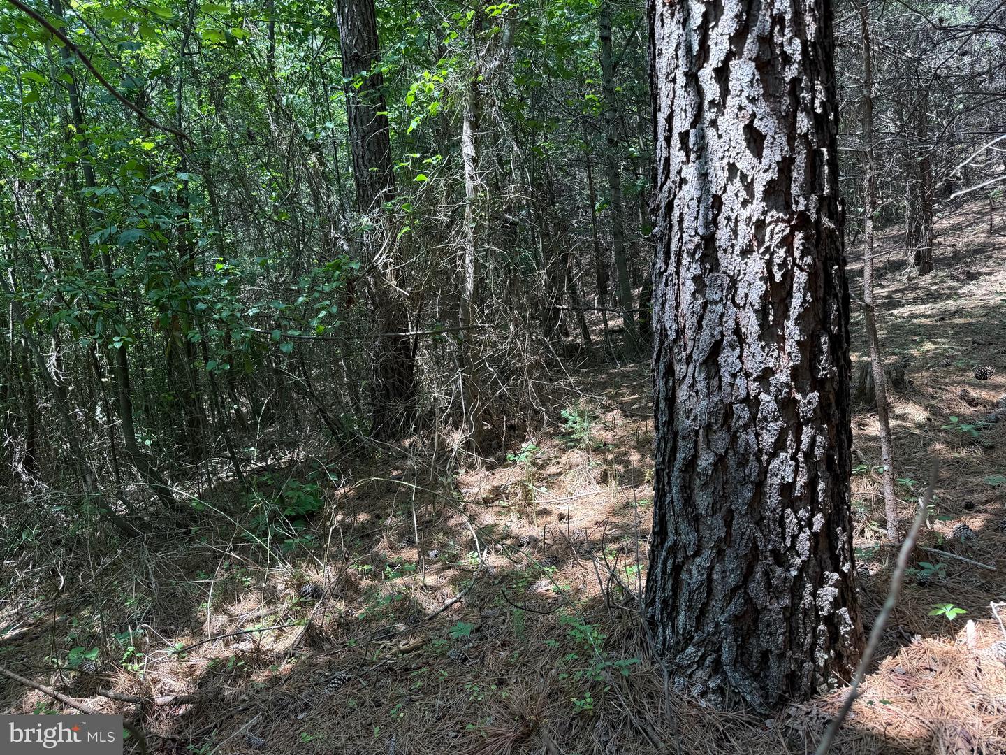 TBD LANCER LN, MARTINSVILLE, Virginia 24112, ,Land,For sale,TBD LANCER LN,VAHE2000028 MLS # VAHE2000028