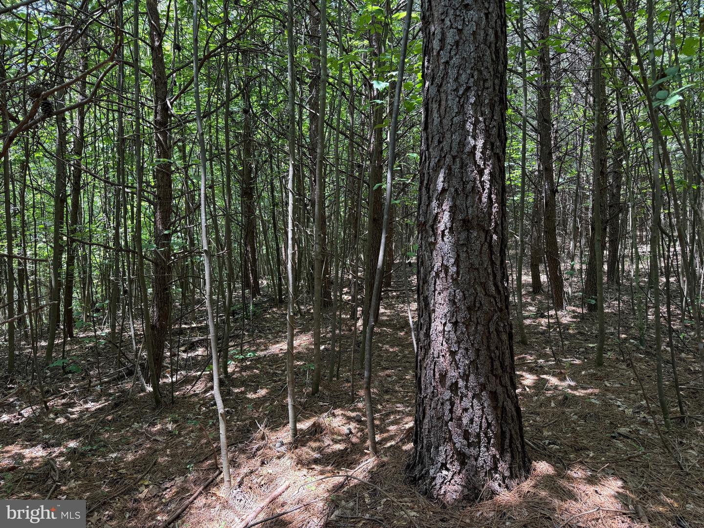 TBD LANCER LN, MARTINSVILLE, Virginia 24112, ,Land,For sale,TBD LANCER LN,VAHE2000028 MLS # VAHE2000028