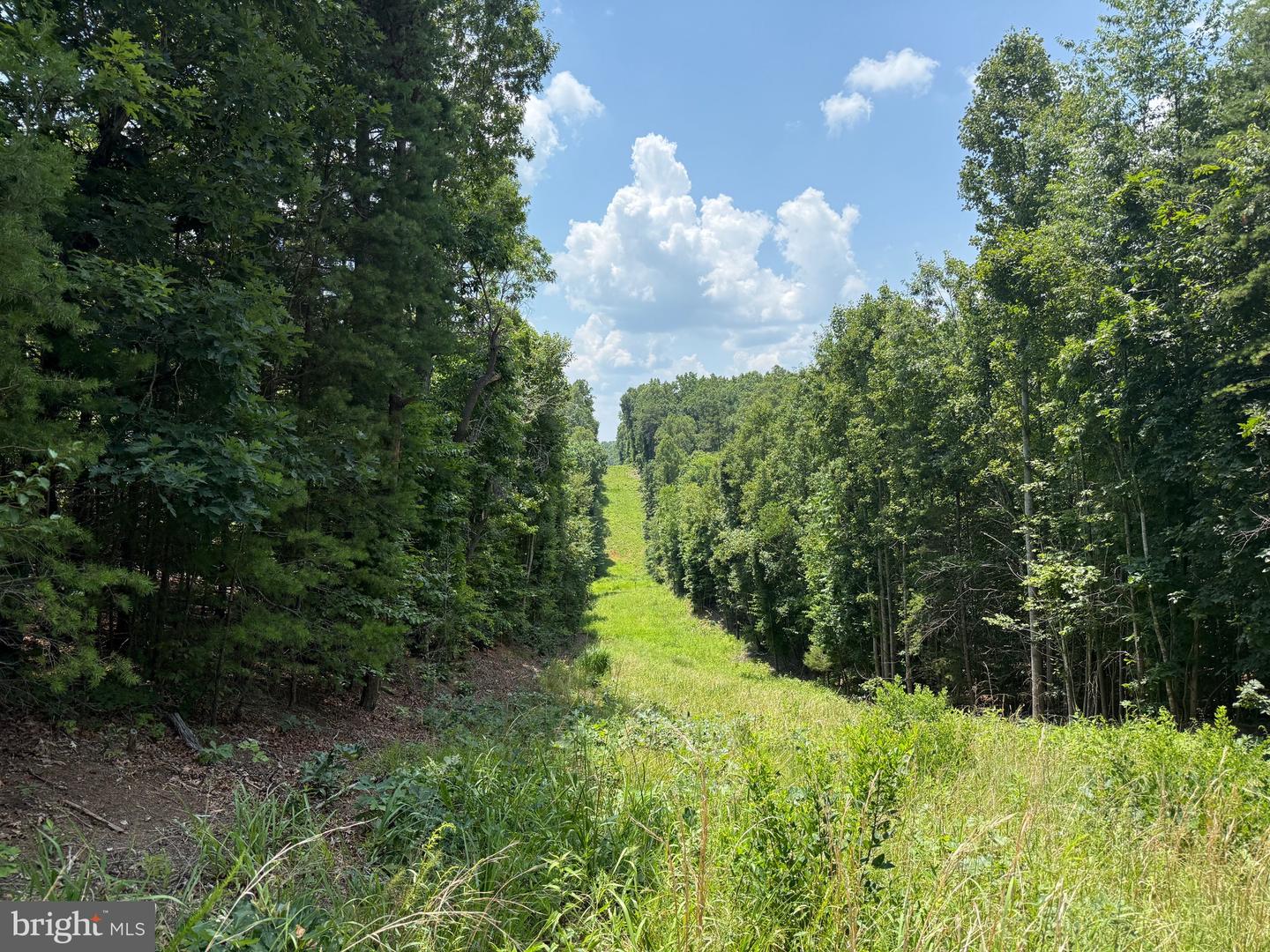 TBD LANCER LN, MARTINSVILLE, Virginia 24112, ,Land,For sale,TBD LANCER LN,VAHE2000028 MLS # VAHE2000028