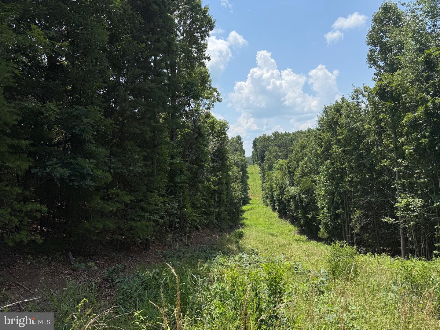 TBD LANCER LN, MARTINSVILLE, Virginia 24112, ,Land,For sale,TBD LANCER LN,VAHE2000028 MLS # VAHE2000028