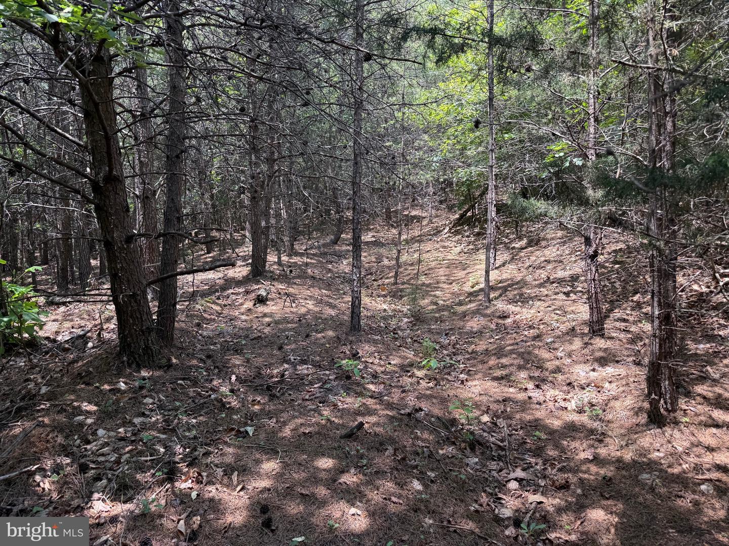 TBD LANCER LN, MARTINSVILLE, Virginia 24112, ,Land,For sale,TBD LANCER LN,VAHE2000028 MLS # VAHE2000028
