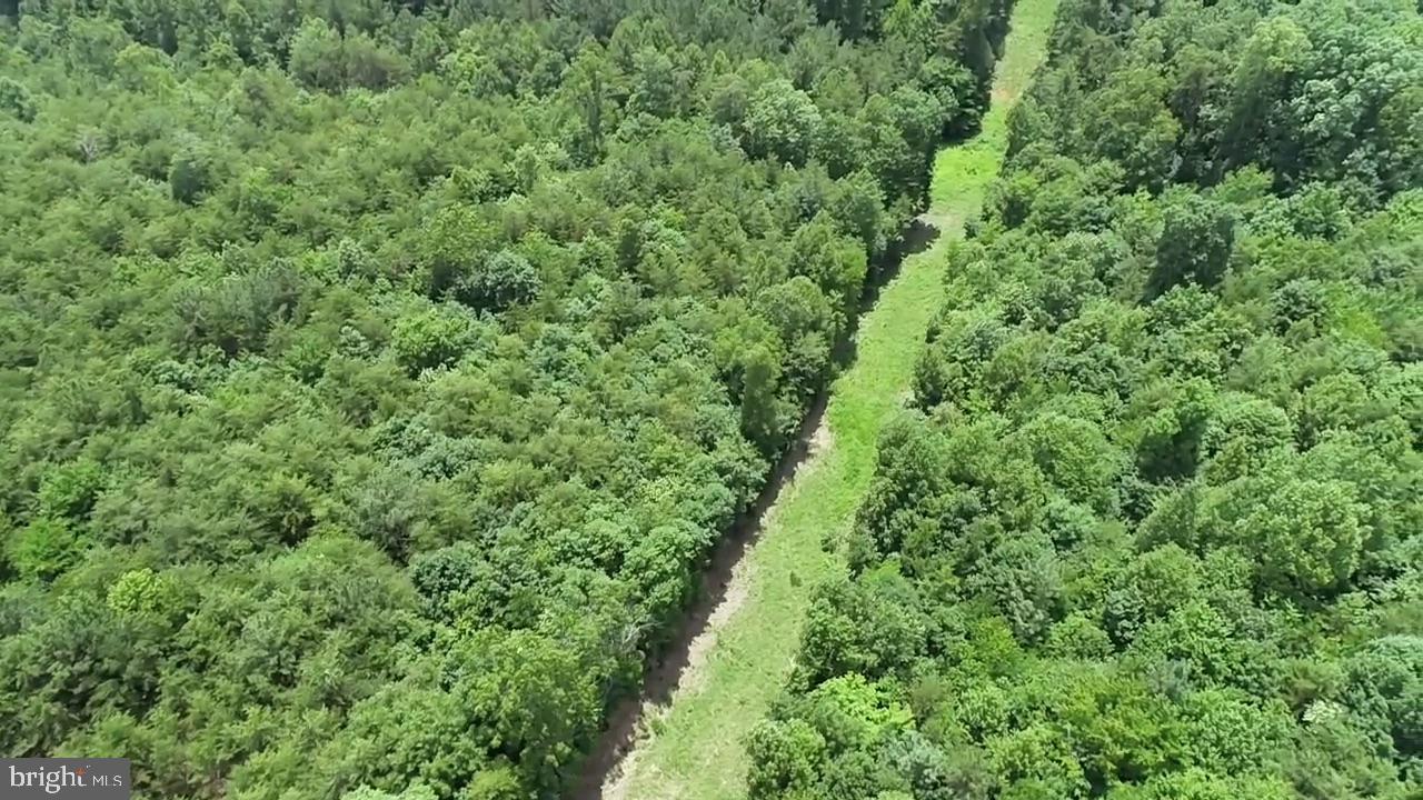 TBD LANCER LN, MARTINSVILLE, Virginia 24112, ,Land,For sale,TBD LANCER LN,VAHE2000028 MLS # VAHE2000028