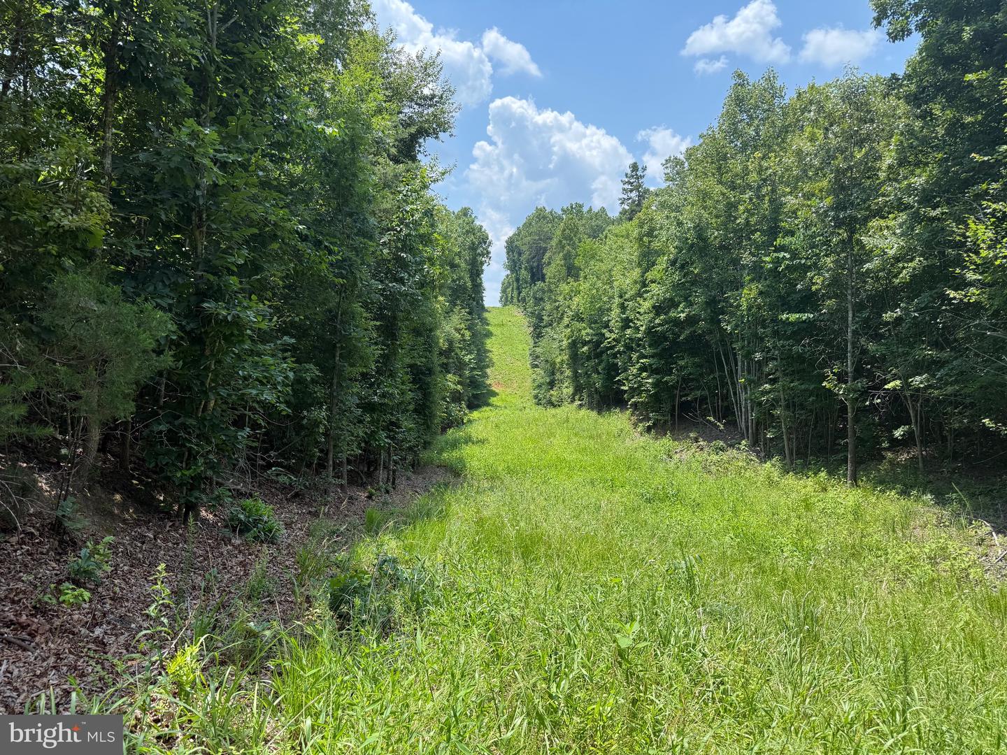 TBD LANCER LN, MARTINSVILLE, Virginia 24112, ,Land,For sale,TBD LANCER LN,VAHE2000028 MLS # VAHE2000028