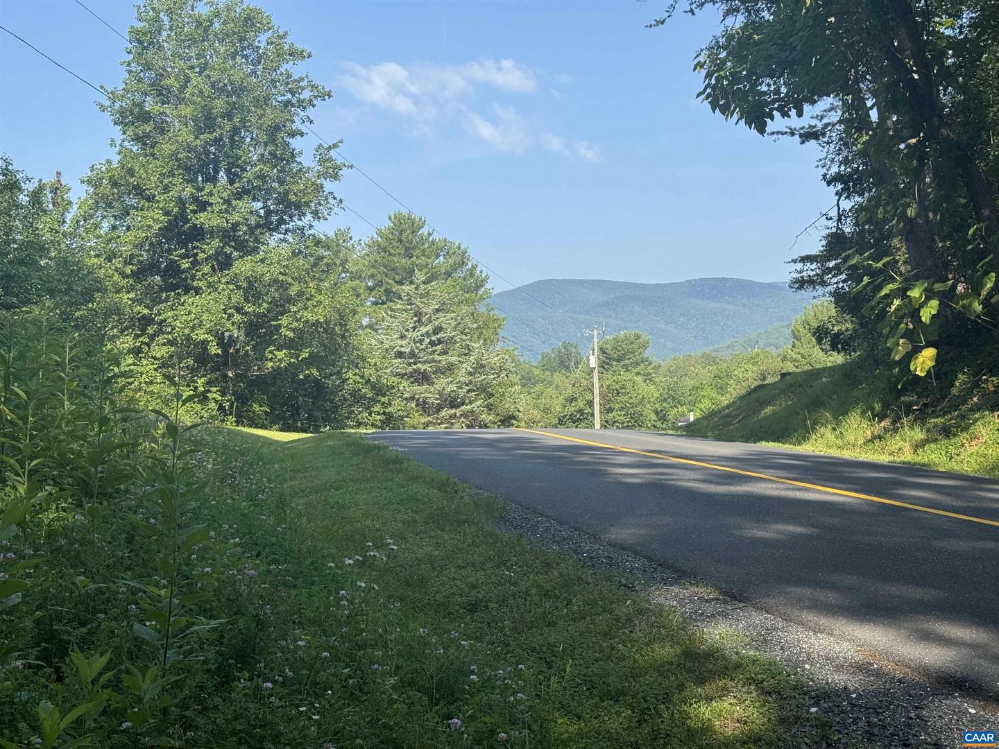 LOT 4 RODES VALLEY DR, NELLYSFORD, Virginia 22958, ,Land,For sale,LOT 4 RODES VALLEY DR,666242 MLS # 666242