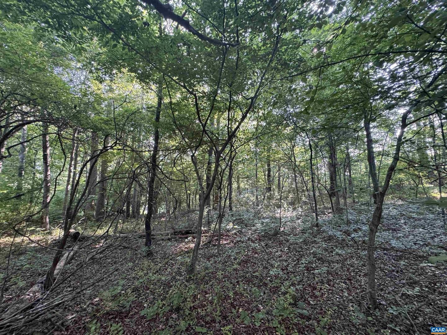 LOT 4 RODES VALLEY DR, NELLYSFORD, Virginia 22958, ,Land,For sale,LOT 4 RODES VALLEY DR,666242 MLS # 666242