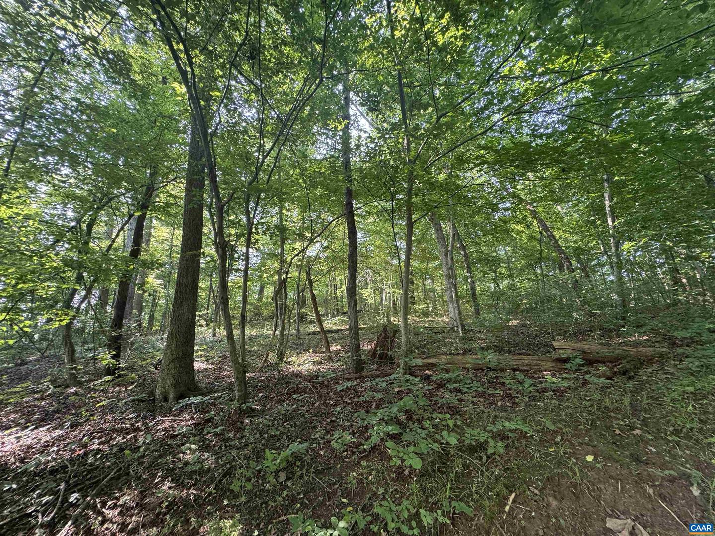 LOT 4 RODES VALLEY DR, NELLYSFORD, Virginia 22958, ,Land,For sale,LOT 4 RODES VALLEY DR,666242 MLS # 666242