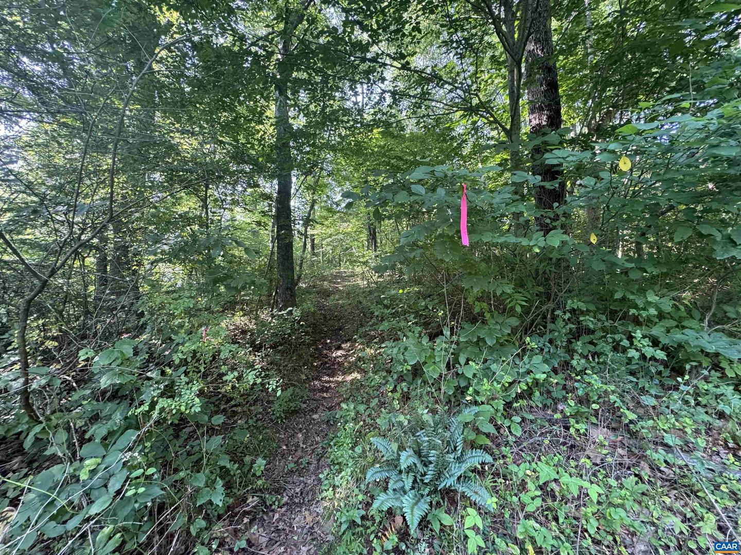 LOT 4 RODES VALLEY DR, NELLYSFORD, Virginia 22958, ,Land,For sale,LOT 4 RODES VALLEY DR,666242 MLS # 666242