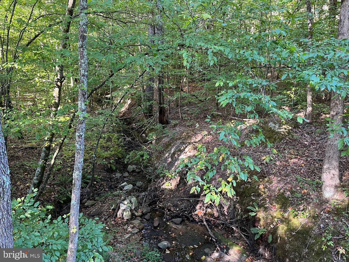 FLORALEE ROAD (ROUTE 621) (TRACT TURNIP CREEK-5), PHENIX, Virginia 23959, ,Farm,For sale,FLORALEE ROAD (ROUTE 621) (TRACT TURNIP CREEK-5),VACE2000018 MLS # VACE2000018