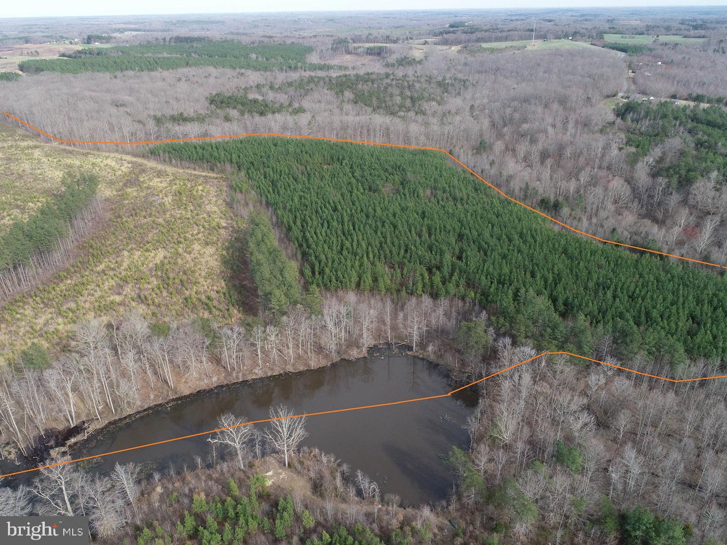 FLORALEE ROAD (ROUTE 621) (TRACT TURNIP CREEK-5), PHENIX, Virginia 23959, ,Farm,For sale,FLORALEE ROAD (ROUTE 621) (TRACT TURNIP CREEK-5),VACE2000018 MLS # VACE2000018