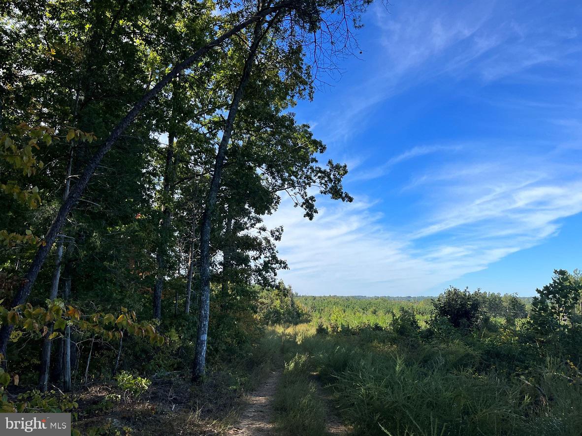FLORALEE ROAD (ROUTE 621) (TRACT TURNIP CREEK-5), PHENIX, Virginia 23959, ,Farm,For sale,FLORALEE ROAD (ROUTE 621) (TRACT TURNIP CREEK-5),VACE2000018 MLS # VACE2000018