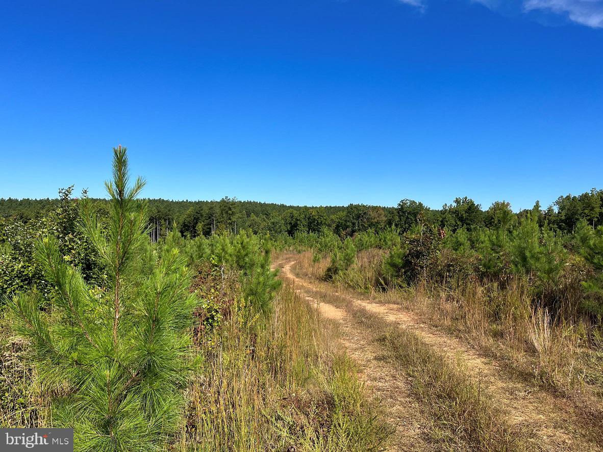 FLORALEE ROAD (ROUTE 621) (TRACT TURNIP CREEK-5), PHENIX, Virginia 23959, ,Farm,For sale,FLORALEE ROAD (ROUTE 621) (TRACT TURNIP CREEK-5),VACE2000018 MLS # VACE2000018