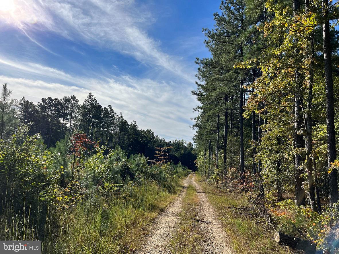 FLORALEE ROAD (ROUTE 621) (TRACT TURNIP CREEK-5), PHENIX, Virginia 23959, ,Farm,For sale,FLORALEE ROAD (ROUTE 621) (TRACT TURNIP CREEK-5),VACE2000018 MLS # VACE2000018