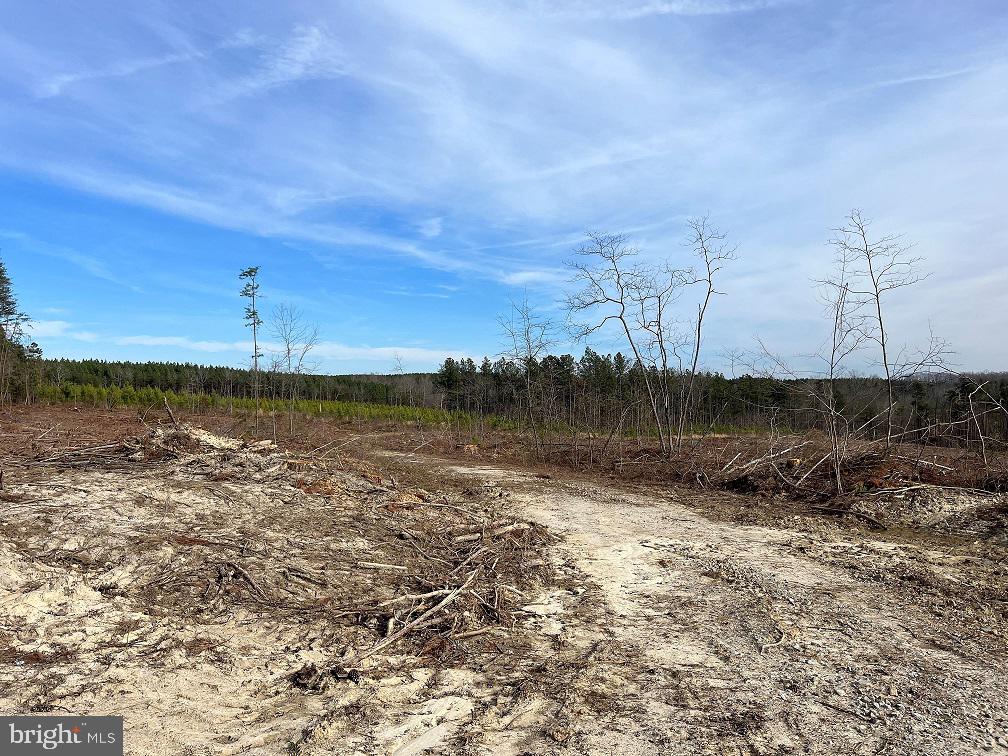 FLORALEE ROAD (ROUTE 621) (TRACT TURNIP CREEK-5), PHENIX, Virginia 23959, ,Farm,For sale,FLORALEE ROAD (ROUTE 621) (TRACT TURNIP CREEK-5),VACE2000018 MLS # VACE2000018