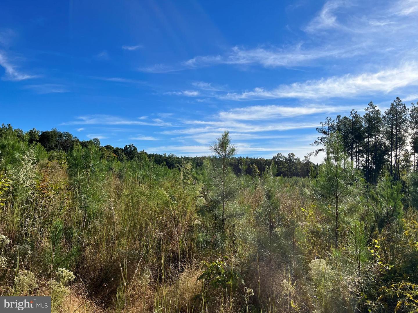 FLORALEE ROAD (ROUTE 621) (TRACT TURNIP CREEK-5), PHENIX, Virginia 23959, ,Farm,For sale,FLORALEE ROAD (ROUTE 621) (TRACT TURNIP CREEK-5),VACE2000018 MLS # VACE2000018