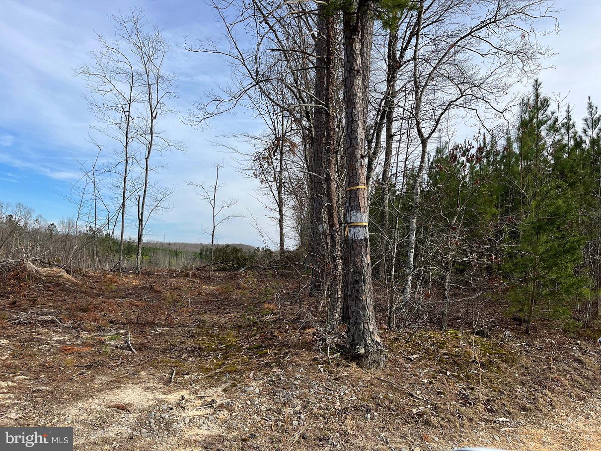 FLORALEE ROAD (ROUTE 621) (TRACT TURNIP CREEK-5), PHENIX, Virginia 23959, ,Farm,For sale,FLORALEE ROAD (ROUTE 621) (TRACT TURNIP CREEK-5),VACE2000018 MLS # VACE2000018