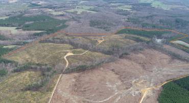 FLORALEE ROAD (ROUTE 621) (TRACT TURNIP CREEK-5), PHENIX, Virginia 23959, ,Farm,For sale,FLORALEE ROAD (ROUTE 621) (TRACT TURNIP CREEK-5),VACE2000018 MLS # VACE2000018