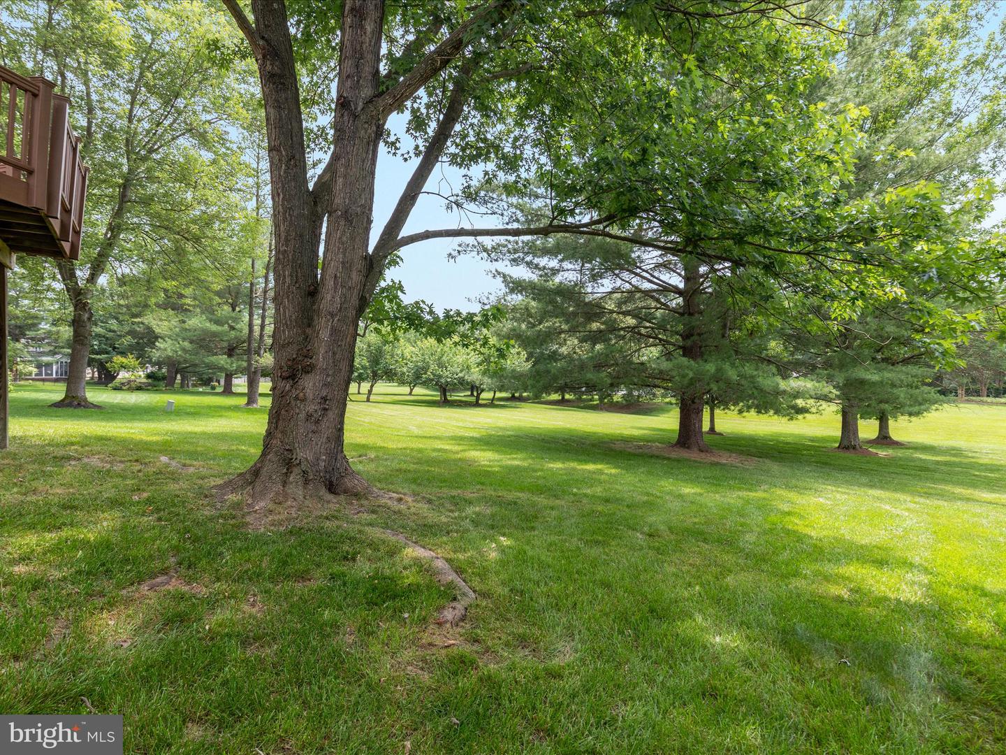 21 GRISWOLD CT, STERLING, Virginia 20165, 5 Bedrooms Bedrooms, ,3 BathroomsBathrooms,Residential,For sale,21 GRISWOLD CT,VALO2092138 MLS # VALO2092138