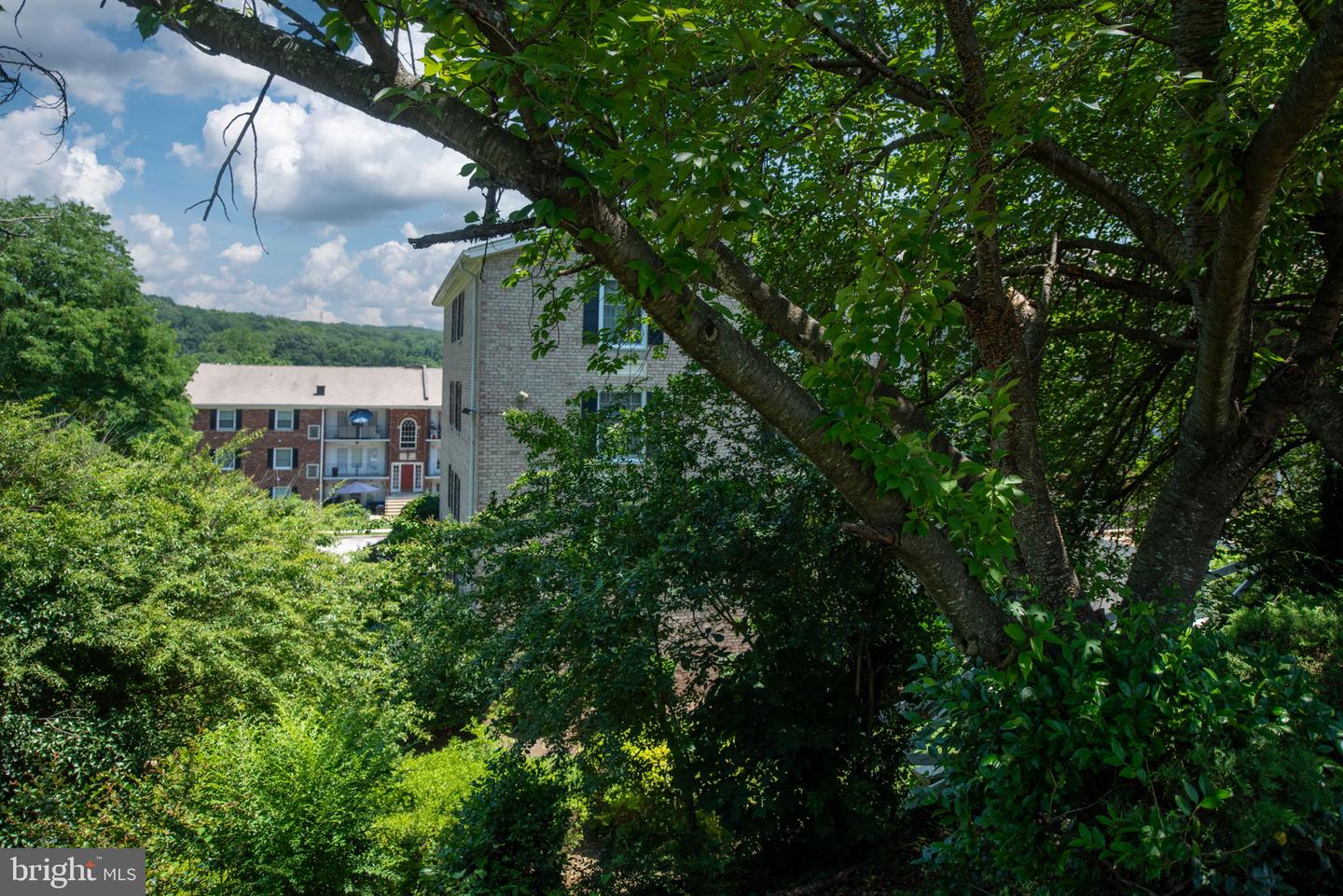 12705 GORDON BLVD #37, WOODBRIDGE, Virginia 22192, 3 Bedrooms Bedrooms, ,2 BathroomsBathrooms,Residential,For sale,12705 GORDON BLVD #37,VAPW2094346 MLS # VAPW2094346