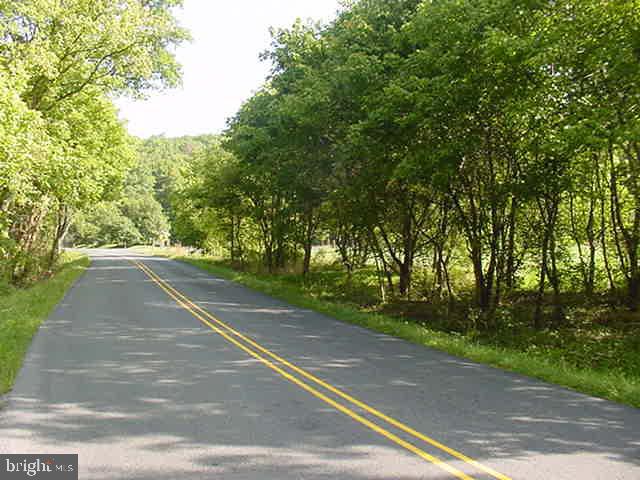 1743 & 1759 DISMAL HOLLOW RD, FRONT ROYAL, Virginia 22630, ,Land,For sale,1743 & 1759 DISMAL HOLLOW RD,VAWR2011290 MLS # VAWR2011290