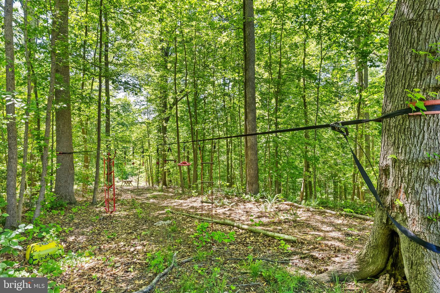 2225 CAMP GEARY LN, STAFFORD, Virginia 22554, 5 Bedrooms Bedrooms, ,4 BathroomsBathrooms,Residential,For sale,2225 CAMP GEARY LN,VAST2039308 MLS # VAST2039308