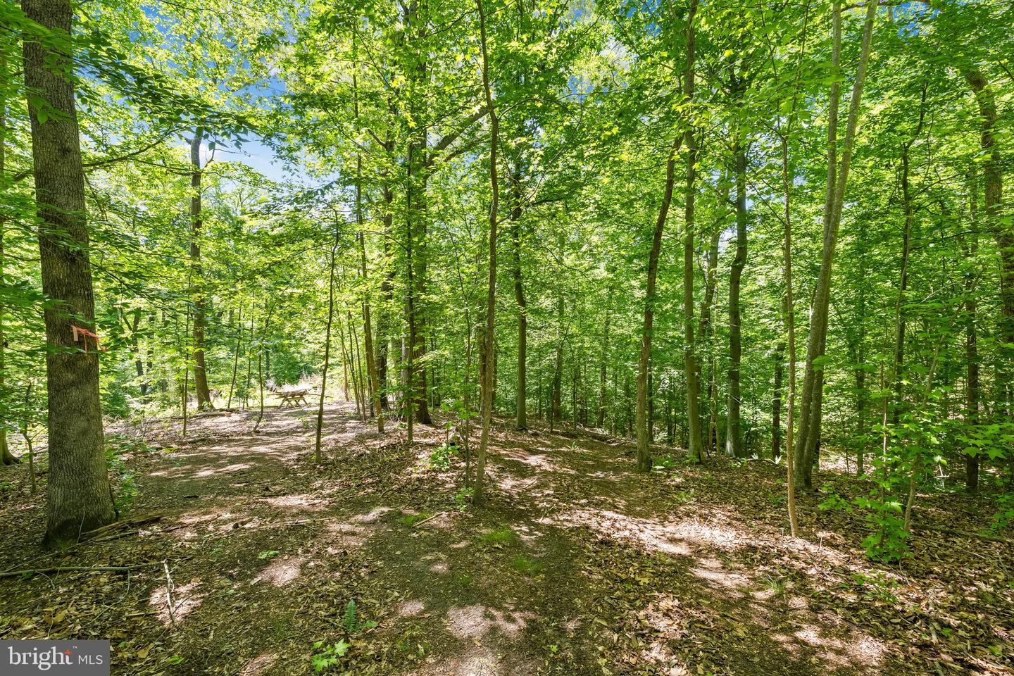 2225 CAMP GEARY LN, STAFFORD, Virginia 22554, 5 Bedrooms Bedrooms, ,4 BathroomsBathrooms,Residential,For sale,2225 CAMP GEARY LN,VAST2039308 MLS # VAST2039308