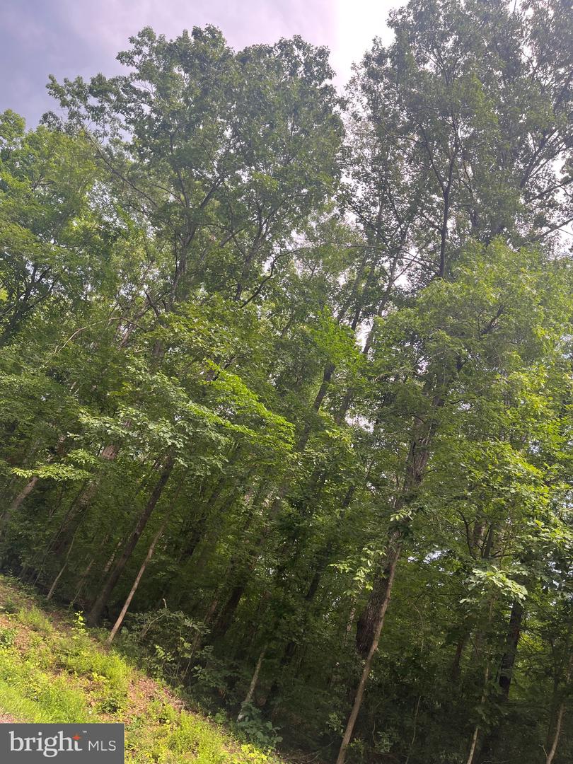 0 MEANDER RUN ROAD, LOCUST DALE, Virginia 22948, ,Land,For sale,0 MEANDER RUN ROAD,VAMA2002314 MLS # VAMA2002314