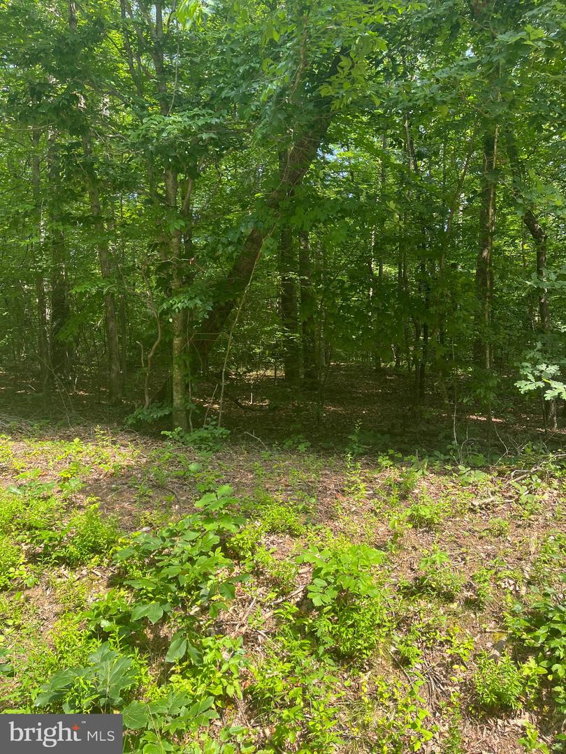0 MEANDER RUN ROAD, LOCUST DALE, Virginia 22948, ,Land,For sale,0 MEANDER RUN ROAD,VAMA2002314 MLS # VAMA2002314