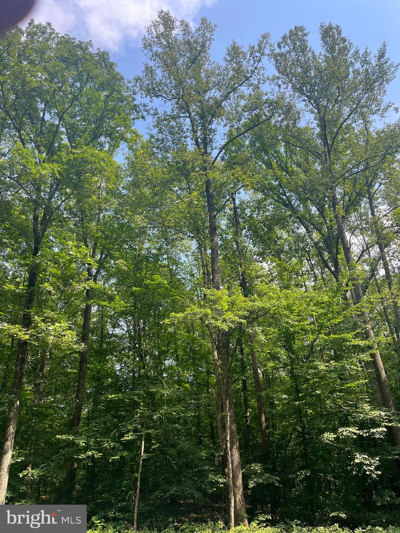 0 MEANDER RUN ROAD, LOCUST DALE, Virginia 22948, ,Land,For sale,0 MEANDER RUN ROAD,VAMA2002314 MLS # VAMA2002314