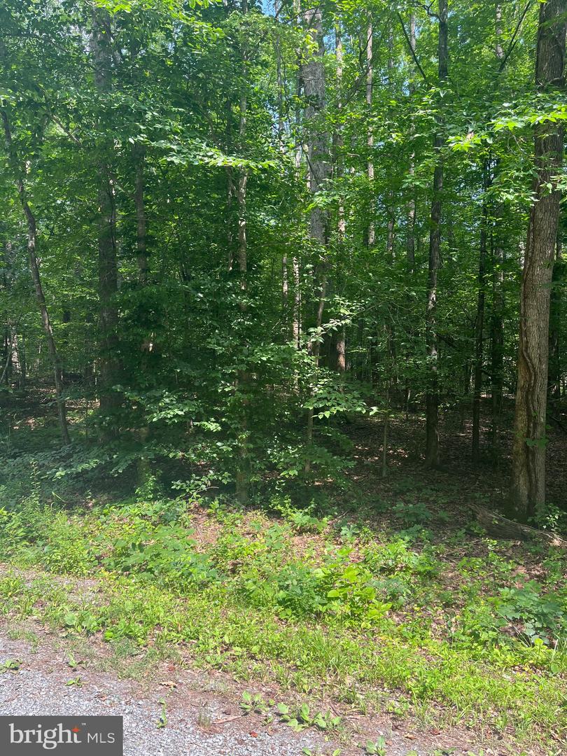 0 MEANDER RUN ROAD, LOCUST DALE, Virginia 22948, ,Land,For sale,0 MEANDER RUN ROAD,VAMA2002314 MLS # VAMA2002314