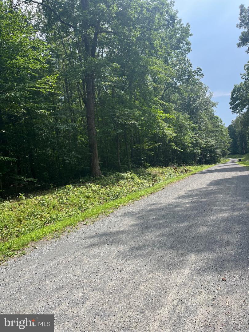 0 MEANDER RUN ROAD, LOCUST DALE, Virginia 22948, ,Land,For sale,0 MEANDER RUN ROAD,VAMA2002314 MLS # VAMA2002314