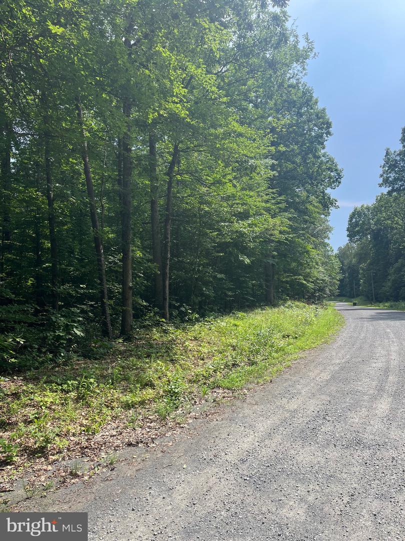 0 MEANDER RUN ROAD, LOCUST DALE, Virginia 22948, ,Land,For sale,0 MEANDER RUN ROAD,VAMA2002314 MLS # VAMA2002314
