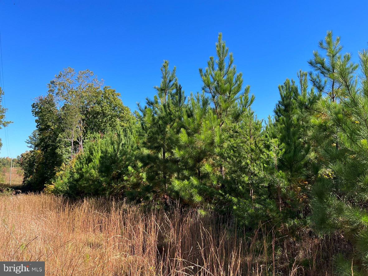 FLORALEE ROAD (ROUTE 621) (TRACT TURNIP CREEK-4), PHENIX, Virginia 23959, ,Farm,For sale,FLORALEE ROAD (ROUTE 621) (TRACT TURNIP CREEK-4),VACE2000020 MLS # VACE2000020