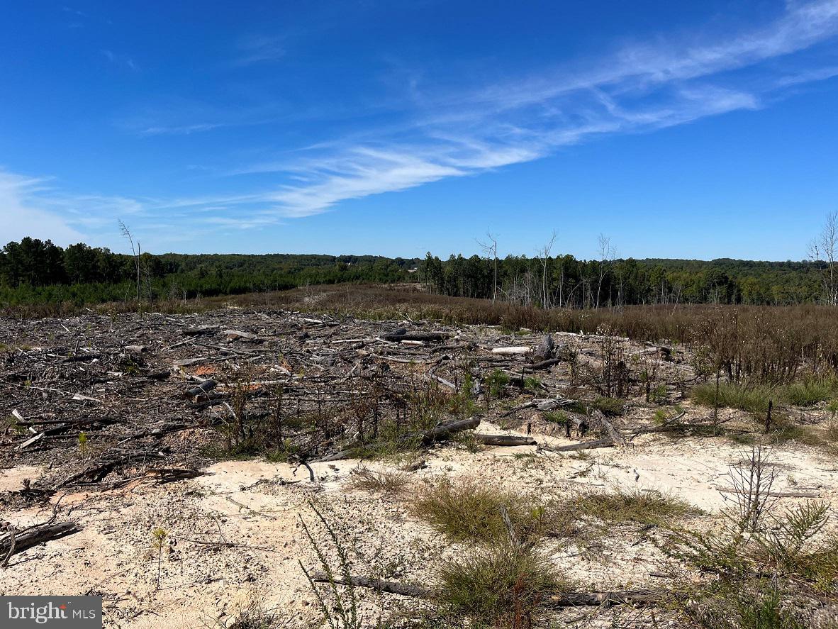 FLORALEE ROAD (ROUTE 621) (TRACT TURNIP CREEK-4), PHENIX, Virginia 23959, ,Farm,For sale,FLORALEE ROAD (ROUTE 621) (TRACT TURNIP CREEK-4),VACE2000020 MLS # VACE2000020