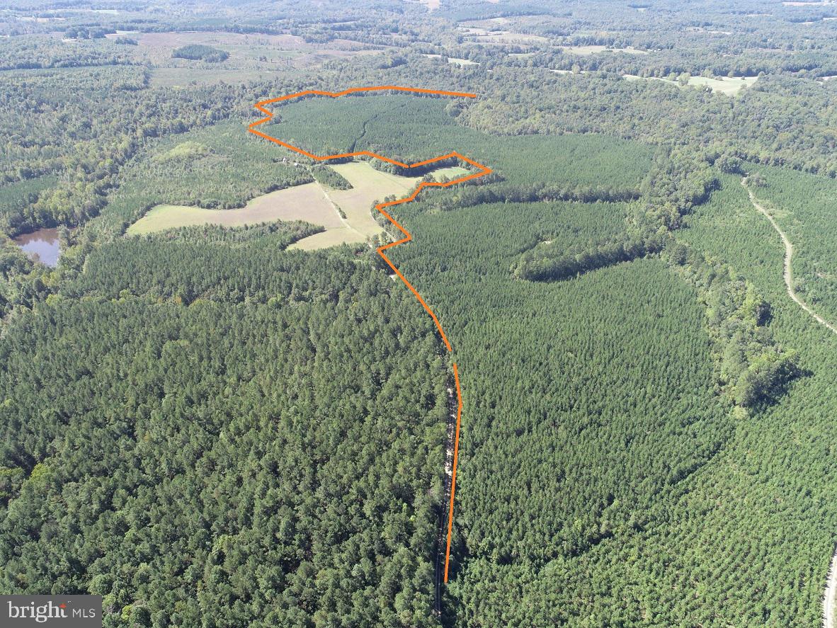 FLORALEE ROAD (ROUTE 621) (TRACT TURNIP CREEK-4), PHENIX, Virginia 23959, ,Farm,For sale,FLORALEE ROAD (ROUTE 621) (TRACT TURNIP CREEK-4),VACE2000020 MLS # VACE2000020