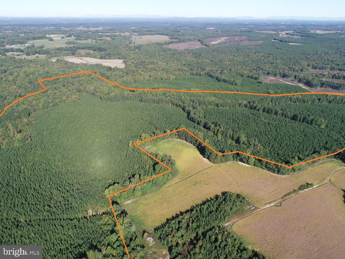 FLORALEE ROAD (ROUTE 621) (TRACT TURNIP CREEK-4), PHENIX, Virginia 23959, ,Farm,For sale,FLORALEE ROAD (ROUTE 621) (TRACT TURNIP CREEK-4),VACE2000020 MLS # VACE2000020