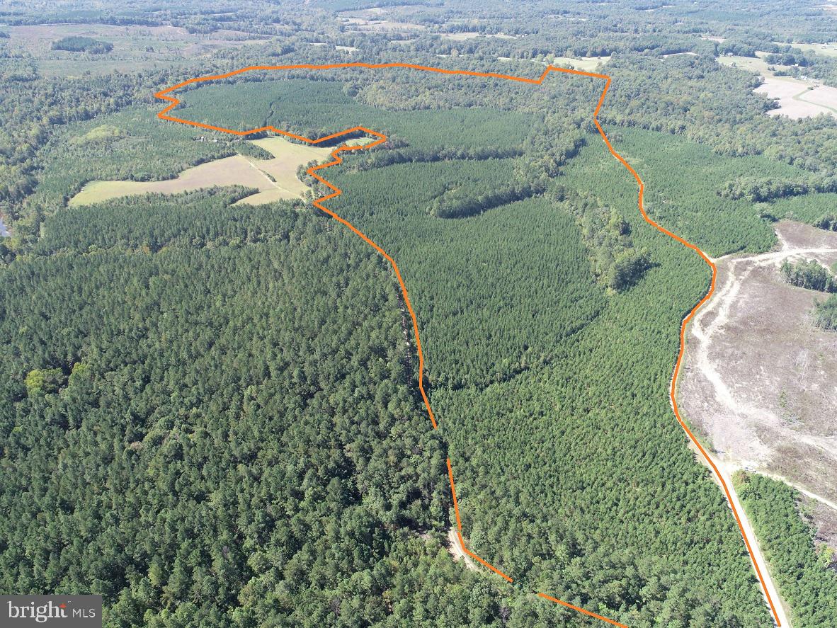 FLORALEE ROAD (ROUTE 621) (TRACT TURNIP CREEK-4), PHENIX, Virginia 23959, ,Farm,For sale,FLORALEE ROAD (ROUTE 621) (TRACT TURNIP CREEK-4),VACE2000020 MLS # VACE2000020