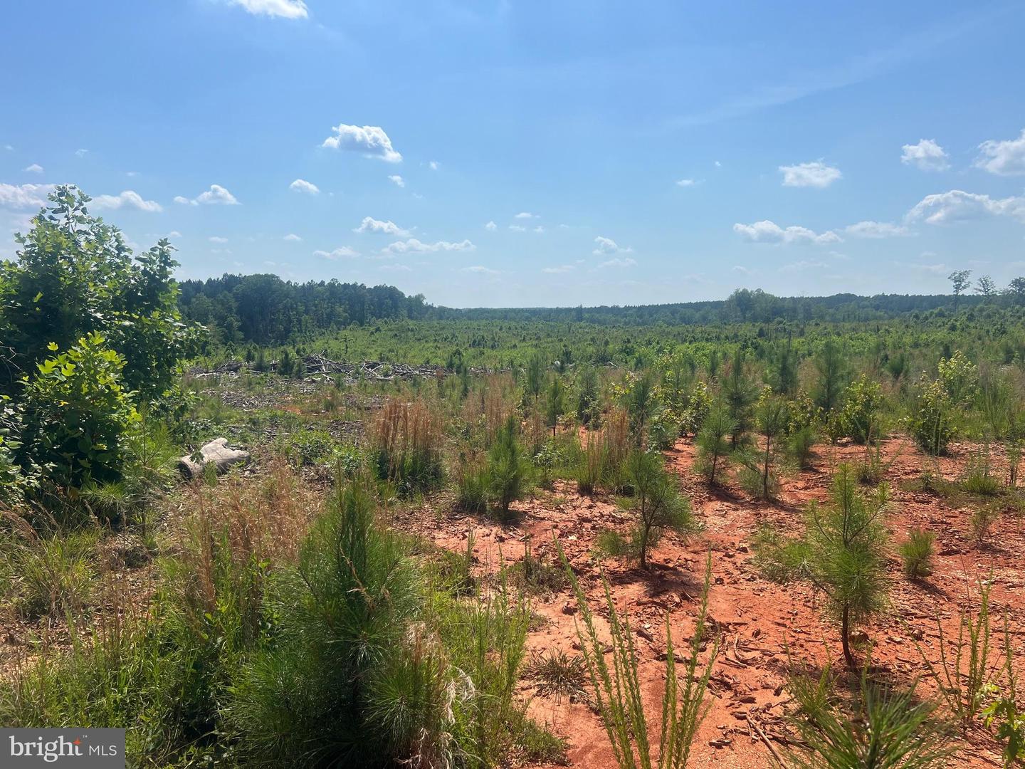 0 ORAL OAKS RD LOT 2, KENBRIDGE, Virginia 23944, ,Land,For sale,0 ORAL OAKS RD LOT 2,VALB2000054 MLS # VALB2000054