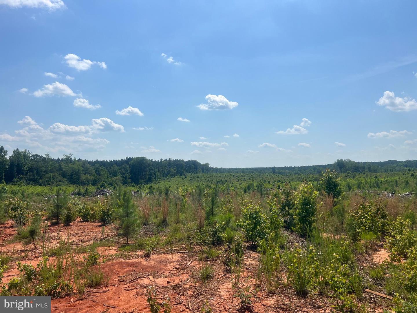 0 ORAL OAKS RD LOT 2, KENBRIDGE, Virginia 23944, ,Land,For sale,0 ORAL OAKS RD LOT 2,VALB2000054 MLS # VALB2000054