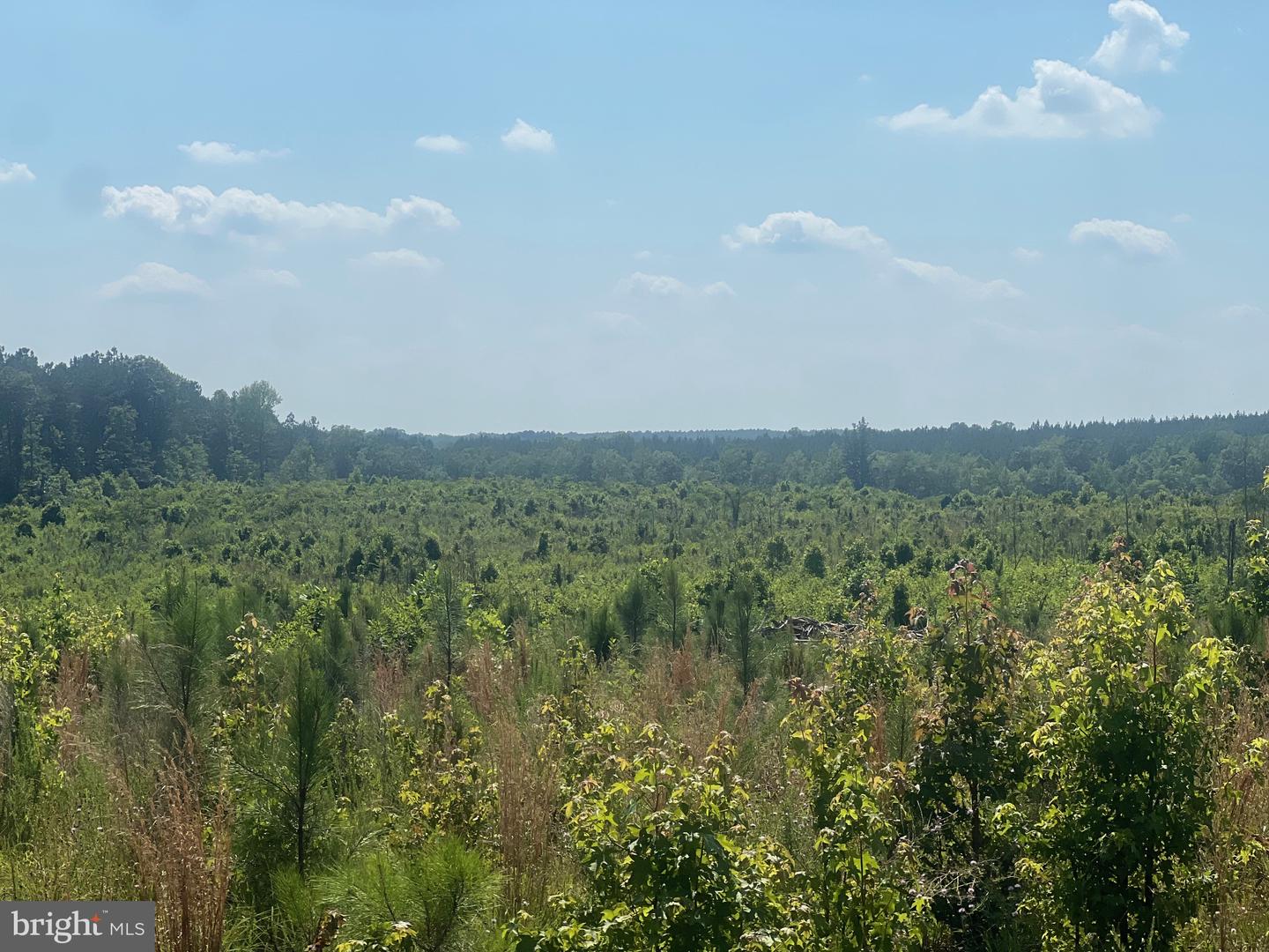 0 ORAL OAKS RD LOT 2, KENBRIDGE, Virginia 23944, ,Land,For sale,0 ORAL OAKS RD LOT 2,VALB2000054 MLS # VALB2000054