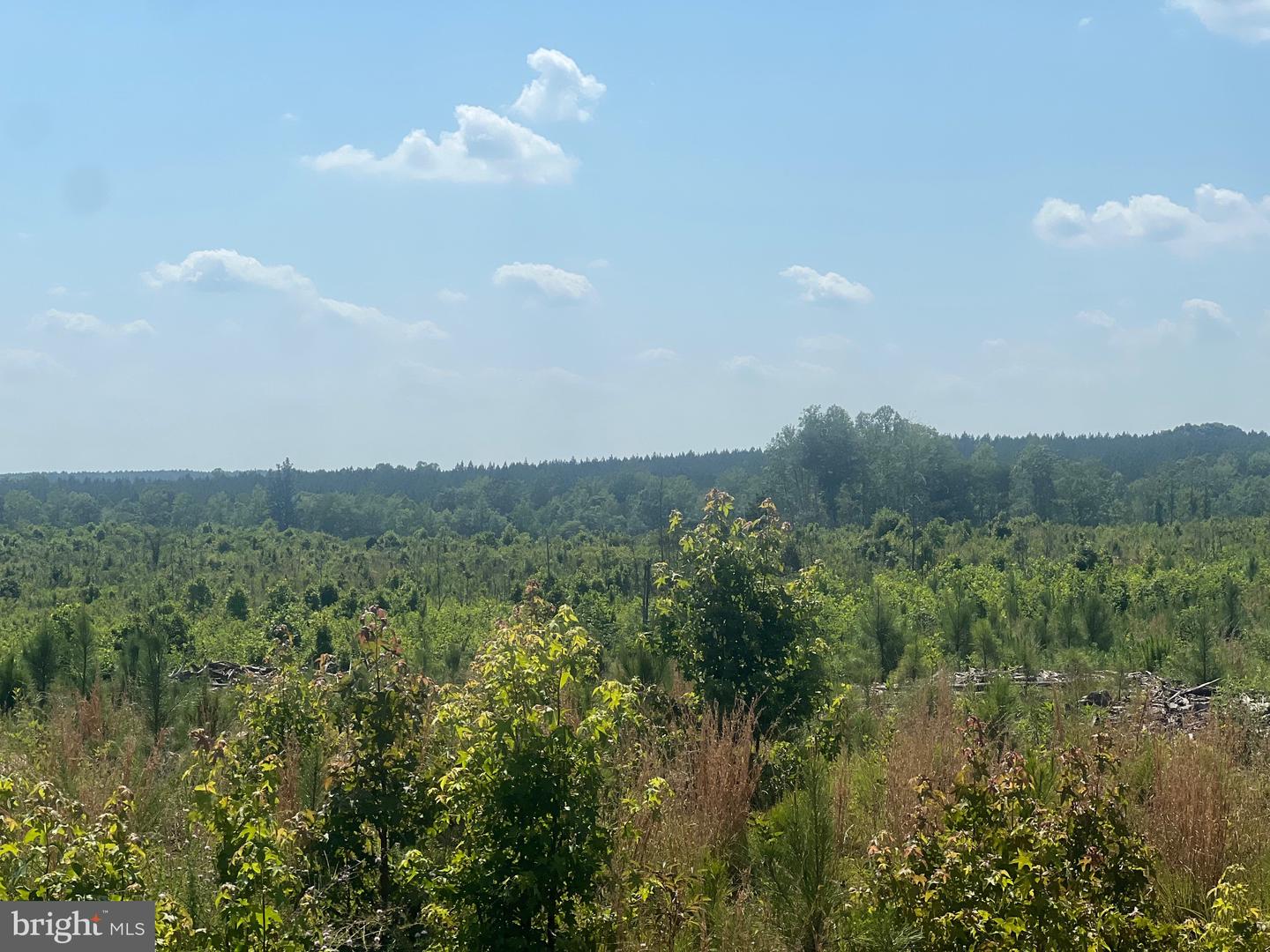 0 ORAL OAKS RD LOT 2, KENBRIDGE, Virginia 23944, ,Land,For sale,0 ORAL OAKS RD LOT 2,VALB2000054 MLS # VALB2000054