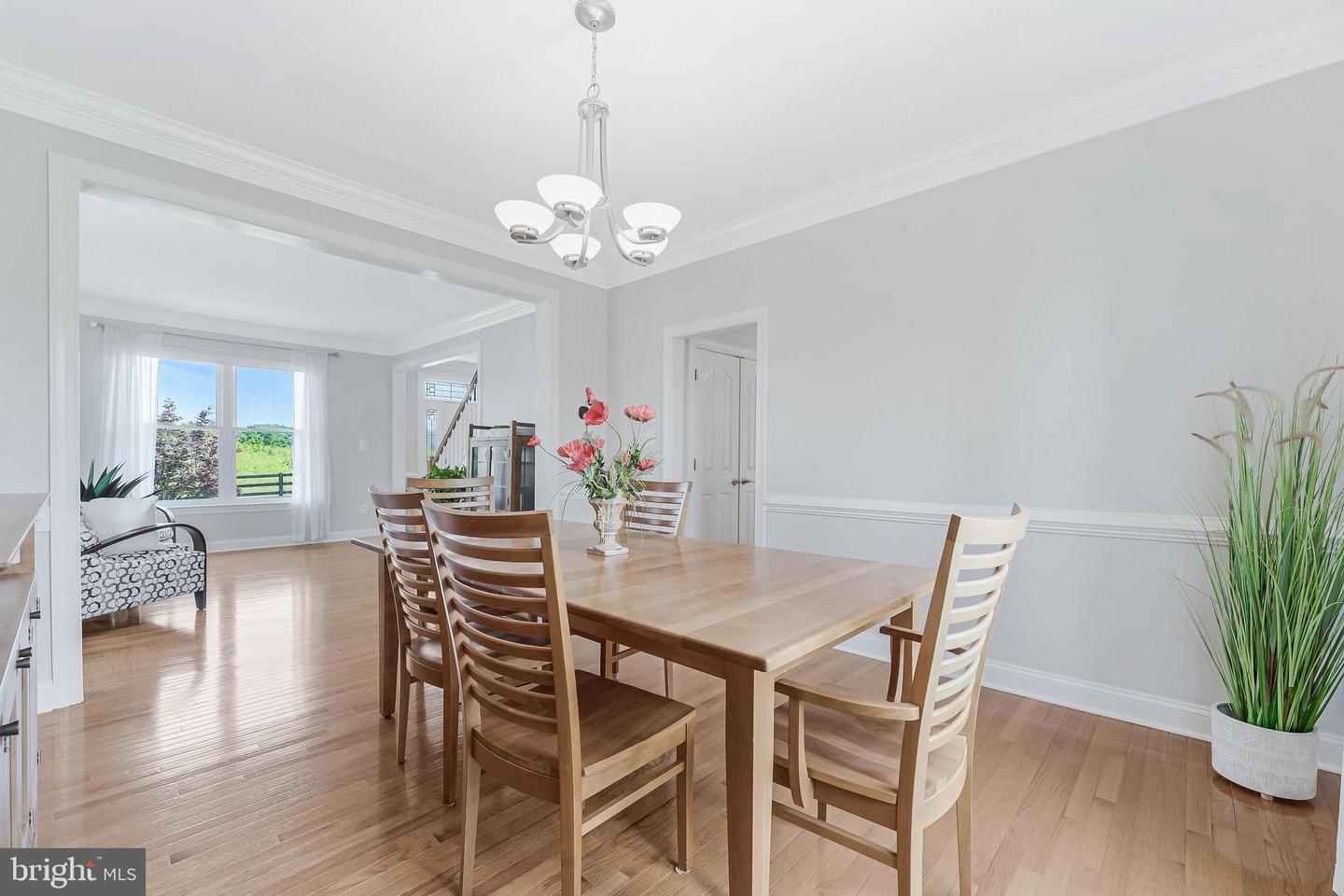 38795 DUTCHMANS KNOLL DR, LOVETTSVILLE, Virginia 20180, 4 Bedrooms Bedrooms, ,4 BathroomsBathrooms,Residential,For sale,38795 DUTCHMANS KNOLL DR,VALO2099688 MLS # VALO2099688